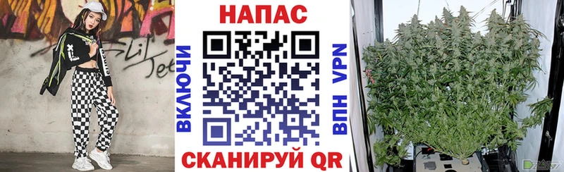 МЕГА зеркало  Томилино  Марихуана Ganja 